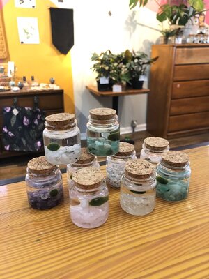 Moss ball ‘Rico’ (multiple options)