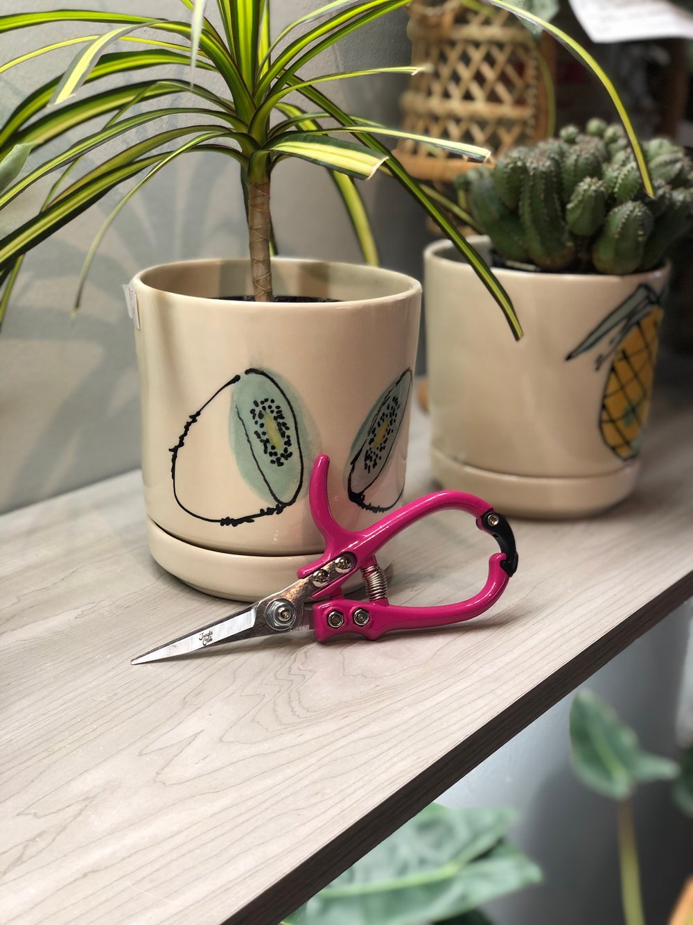 Pink pruning shears