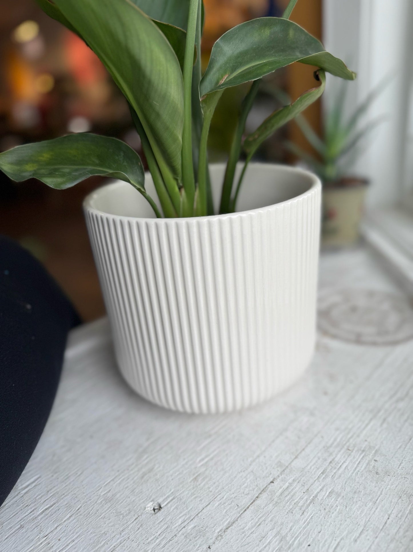 Shiny white planter