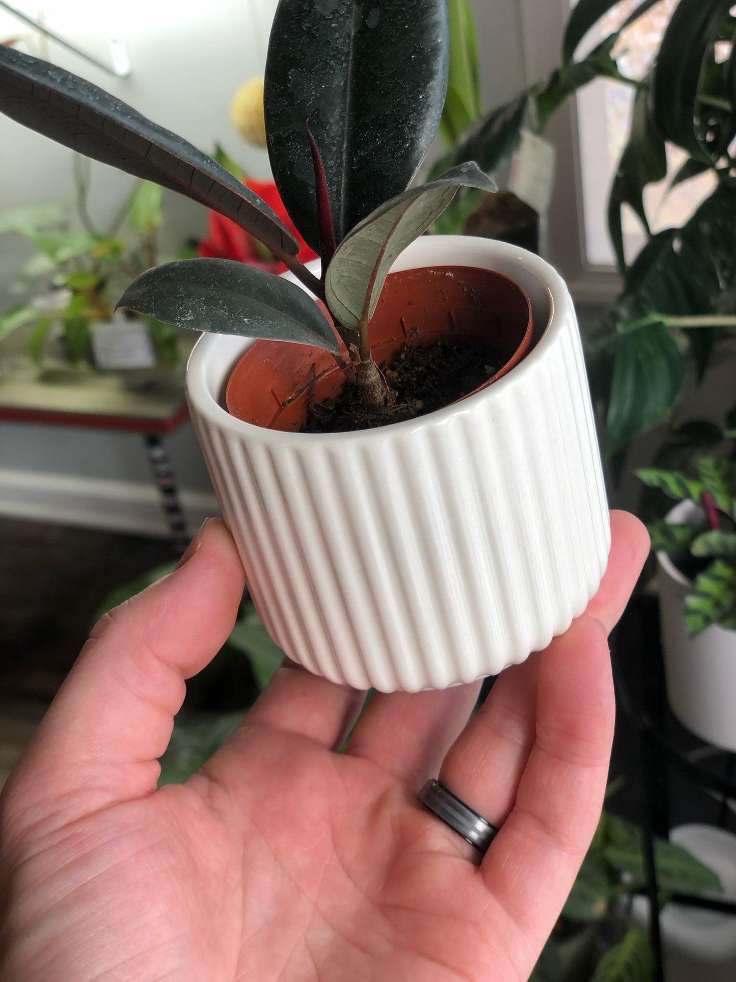 Shiny white planter