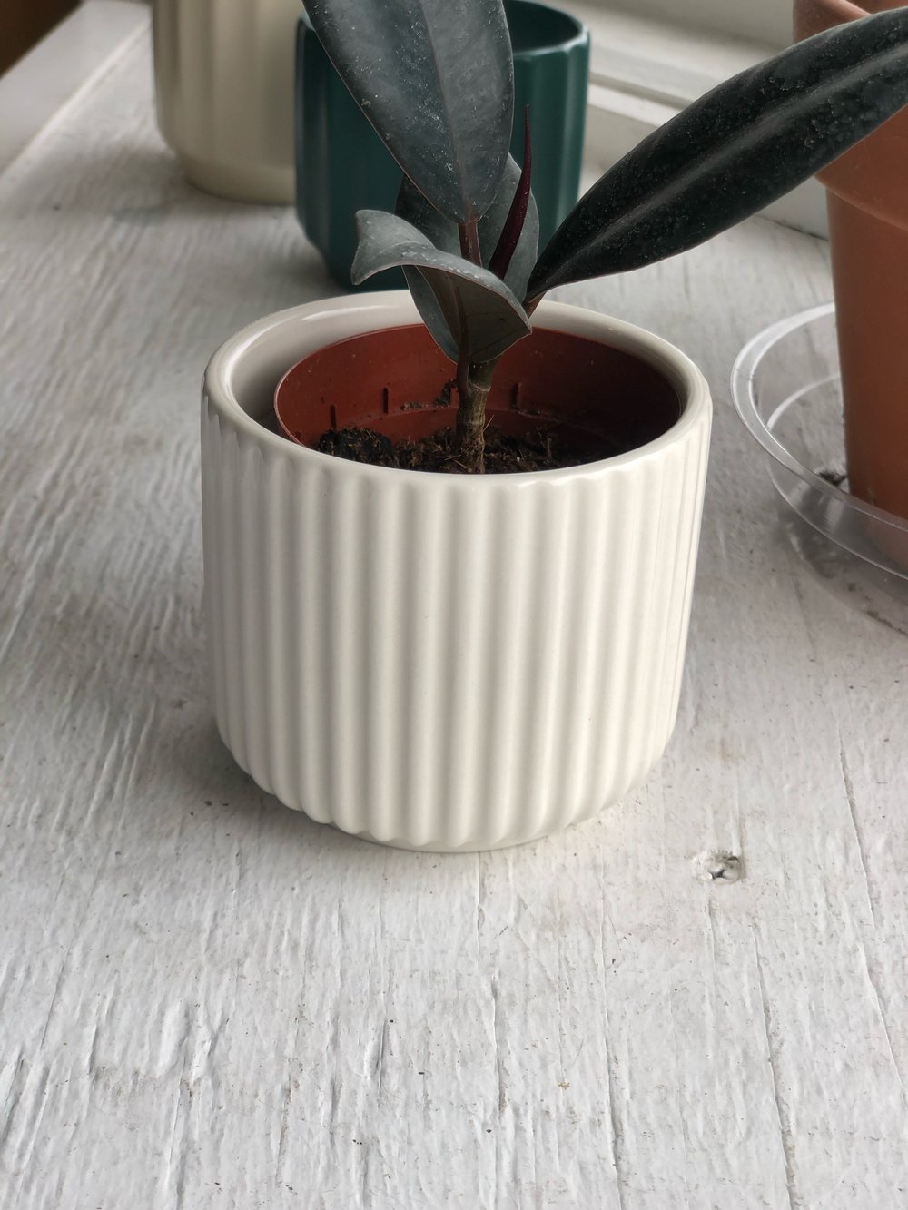 Shiny white planter