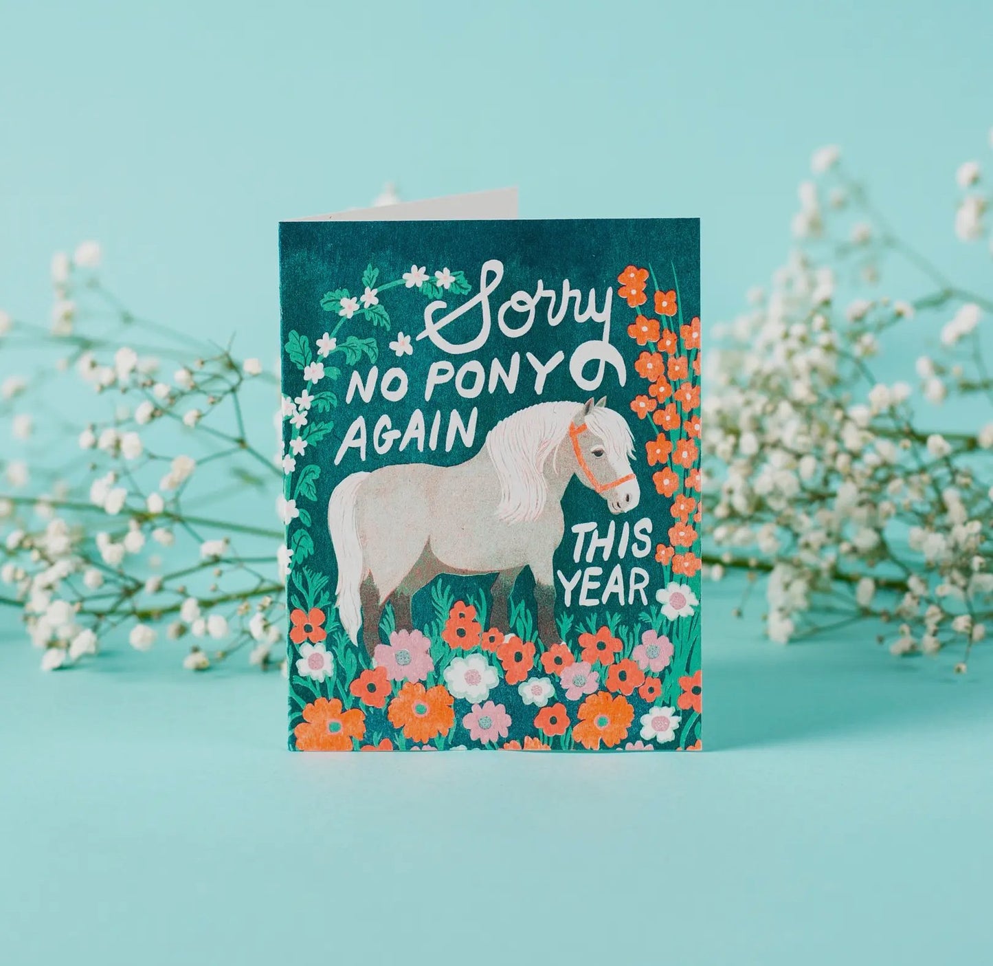 Sorry no pony greeting/birthday card