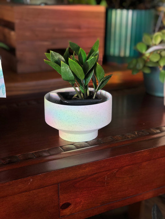 Speckled footed/pedestal planter