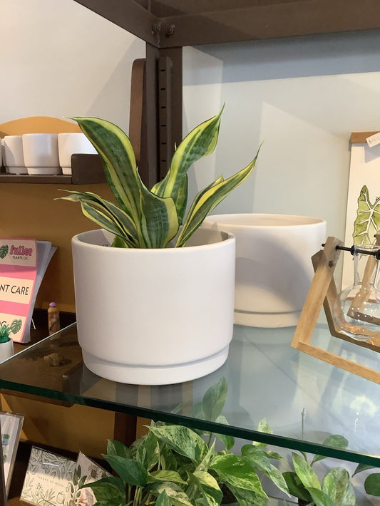 White stepped planter