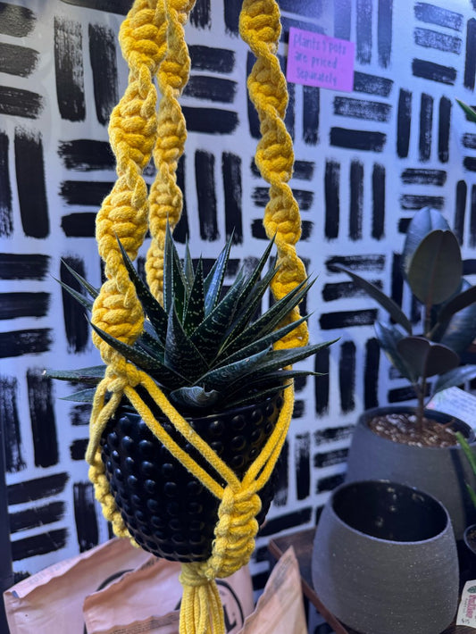 Yellow Macrame Hanger