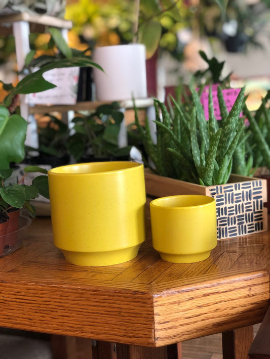 Yellow speckled planter